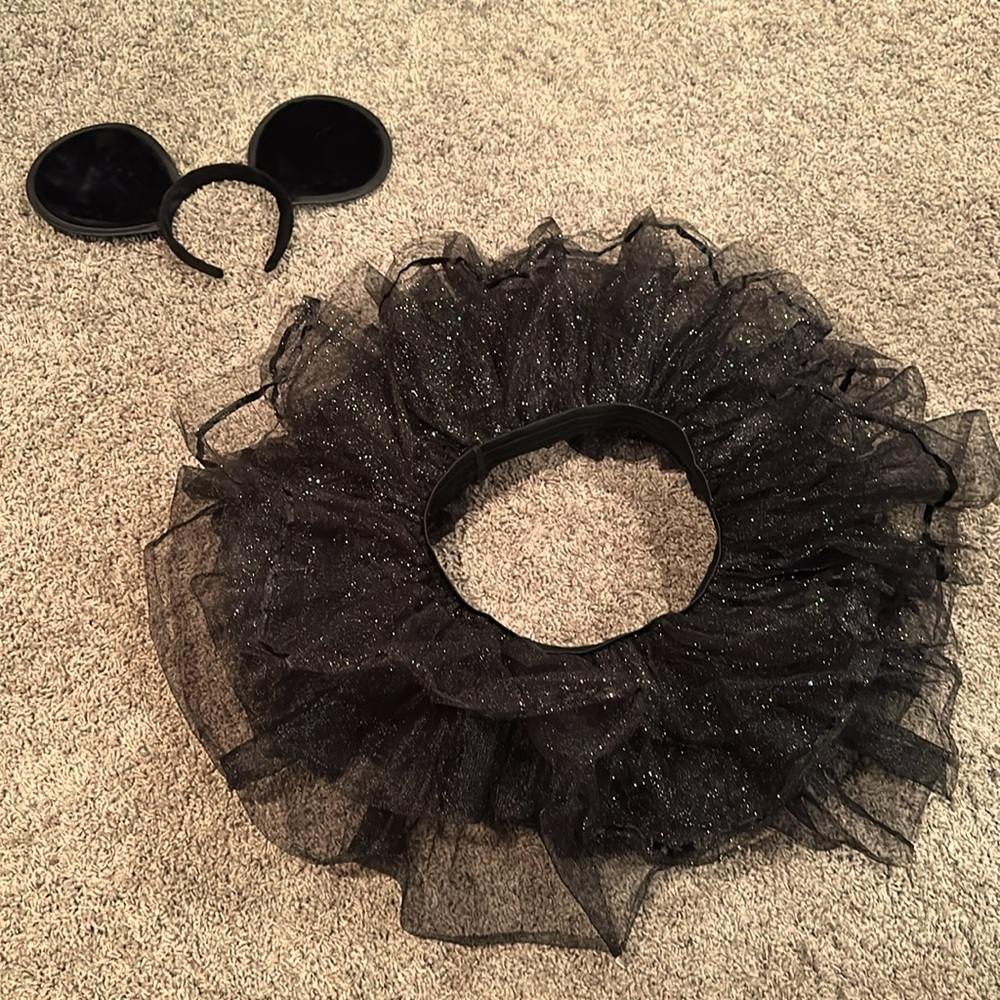 Sparkly tutu and mouse ears and tail